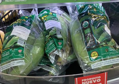 sanbi organic plantain